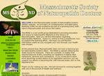 Massachusetts Society of Naturopathic Doctors